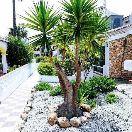 Con Vistas A La Piscina Nyaraló