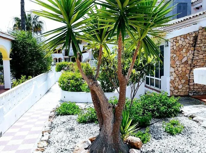Con Vistas A La Piscina Hébergement de vacances